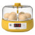 孵蛋器1枚小鸡孵化器小型型儿童孵化机鹦鹉迷你全自动孵化箱 20枚全自动双电(方盒款)
