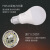 FSL佛山照明led灯泡微波感应灯泡雷达人体红外感应球泡 E27螺口  5W 白光6500K（单个装）