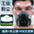 代尔塔（DELTAPLUS）防尘口罩防工业粉尘面罩呼吸全脸防护罩面具收割机打磨过滤棉装修 高效过滤防尘面具+防尘镜+20片