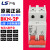 LS产电 小型断路器 BKN-2P 6A-63A D型 动力型 两相空气开关 4A 2P