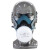 普达 防毒面具套装 防有机气体油漆农药防毒防工业粉尘面具半面罩（硅胶款8016）1套