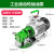自吸不锈钢抽油泵齿轮高粘度机油柴油食用油液压油 工业级1100W(220V)