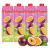 Malee玛丽果汁 泰国进口 百香果汁饮料大瓶箱装聚会餐饮调制饮品 百香果2瓶