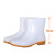 白色雨鞋耐油耐酸碱卫生靴牛筋底水鞋防滑白色工作雨鞋     3天 中筒雨鞋 36