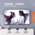 新款东珠王牌液晶电视机26英寸电视机家用2k高清老人小尺寸电视投屏无线wifi显示器 30-LED高清液晶（网络版）
