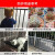 CLCEY阳台防护网塑料网格窗户儿童安全防坠防掉东西围栏防猫封窗护栏网 白色2.5厘米孔*50厘米宽(每米的