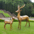 悦吉祥玻璃钢抽象梅花鹿雕塑摆件户外园林景观几何动物大号麋鹿婚庆装饰 1号+2号+5号--三只组合