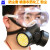 蓝鹰防毒面具口罩活性炭面罩喷漆化工面具放毒气甲醛NP306防毒半面罩 NP306面具+RC206滤盒2个