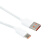 适用typec数据连接线6A旭日X3树莓派USB烧录开发板电源Ty Typec数据线(100cm)