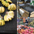 超市专用水果蔬菜防滑垫生鲜果蔬店货架垫子网状垫片加厚保护垫 黑色 宽1.6米*长1米