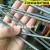 复合机凹版印刷机绳银纤维不锈钢金属导电绳 6mm弹力10米（送铜端子）