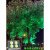 led七彩变色投光灯园林绿化别墅草坪景观灯rgb彩色照树户外射灯  布洛克 单色200W绿光(四孔)