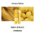 Aroma Sense 喷头花洒香氛滤芯韩国进口适用于AS9000\/AS-KID\/AS-MIST 柠檬