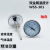 上海天川仪表WSS-301轴向双金属温度计2分4分牙0-50100200300 0-200度 2分 50mm