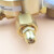 化科 实验室黄铜中大型减压器 手动减压阀 调节器  452IN-175（25/2.5），氲气氮气