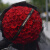 鲜花情人节同城配送99朵玫瑰花束送老婆女友表白订婚生日礼物 99朵红玫瑰鲜花花束 同城配送 支持预约日期
