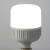 洛林（ROLin）LED灯泡大功率商用光源球泡 白光 E27螺口40W（量大定制）