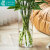 墨斗鱼玻璃花瓶透明植物插花瓶水培容器大花瓶装饰客厅摆件直筒款25cm  玫瑰粉仿真花带花盆
