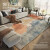 新中式地毯客厅耐脏易打理茶几垫子轻奢高端满铺卧室感 流云棉布底丙纶地毯 14*2cm加厚设计