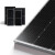 众厵并网双面发电太阳能光伏板组件充电板发电板200W275W400W450W550W 200W双面发电板