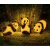 太阳能熊猫灯动物灯园林亮化灯灯饰灯具发光灯景观灯 熊猫B款