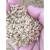 花茜水稻种子家用高产水稻种孑旱稻种子东北大米糯米香稻子 绿旱一号一斤