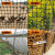 SMVP塑料网格养鸡围栏网鱼塘养殖防护栏菜地果园栅栏隔离拦鸡网圈玉米 1.0米高45米长3厘米孔 9斤重 +扎