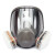 防毒面具面具喷漆专用防工业粉尘化工气体异味甲醛面罩 6800配6001七件套