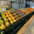 纸板可移动阶梯式陈列货架水果店中岛便携超市展示架多层纸质台阶 3阶（内直角）