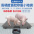 上海耀华A12高精度畜牧称重小地磅称猪称牛畜牧农业专用电子定制 1.5x2.5m 带围栏