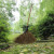 竹扫把农村老式竹丝扫帚笤帚户外庭院环卫通用大扫把扫院子 皮扎竹丝扫帚15长15米宽60厘米