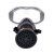 援邦 一体式防毒面具 自吸过滤式一体式套装防毒半面罩加装护目镜 防毒面具套装8100(含滤盒)