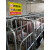 养殖重地警示牌闲人免进提示安全标识牌养猪重地鱼塘小龙虾培育基 YZC017-PVC塑料板 30x40cm