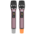 索爱（soaiy）金属无线话筒一拖二麦克风家用ktv唱歌卡拉ok演出舞台 【舞台级金属旗舰款】无线话筒2支+4节5号充电套装 官方标配