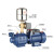 不锈钢螺杆自吸泵220V高扬程吸水泵井水自来水全自动增压泵 新一代自吸螺杆泵2800w