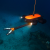 水下无人机可视潜艇4K遥控拍摄水下摄像机无人潜水艇专业钓鱼摄像头救援水下 T1150米机器人定制款 100米T1
