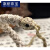 默研（MOYAN）星月菩提雕刻蛇骨手串文玩潮流款男女款 蛇骨石玉款  A27-208 8-10mm