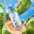 泰府椰子水泰国进口椰子水100%纯孕妇椰汁水NFC含电解质果汁饮料饮品 250mL 24瓶 1箱 泰国椰子水