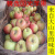 皓谦精选国光苹果新鲜水果小国光酸甜脆农产品特产 净果20斤 100年老树