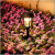 乐卡利2个装太阳能庭院草坪灯照明户外灯感应氛围灯院子LED地插景 太阳能草坪灯(暖光 2个装)