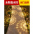 动真格（DongZhenGe）太阳能户外装饰草坪灯防水别墅花园草地景观布置地插光影灯AA 棕壳-白光-4个装