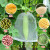 冰禹 BYH-6 尼龙防虫网袋 育种袋尼龙种子袋套种子袋 纱网袋 140*105cm (100个)