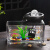 山头林村创意玻璃循环流水摆件  悬壶循环流水摆件配件搭配玻璃小鱼缸喷泉 [花瓶整套]水草彩石