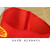 DEDH丨红袖章配别针（新员工）；10个装