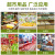 谋福（CNMF）水果超市扎口机 塑料袋封口机器 捆菜连卷袋打包机(绿色封口机+铝钉2000枚)
