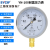 上海仪川仪表 耐震防震抗震压力表YN100 充油表 气压油压水压真空 YN100 0-1MPa