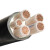 佳雁 电线电缆YJV 4*10+1*6平方 5芯国标铜芯阻燃架空电缆硬线 1米