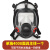 面具面罩全脸防护防尘囗罩全面罩工业粉尘化工气体喷漆消防 4008主体1个