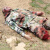 钢骑士 营级旅级卫勤模拟训练平台战救模拟器材 野战基础伤情模拟人