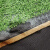 巨成云 仿真人造草坪地毯 塑料假草皮 绿植绿色地毯 单色草 20针草高1.5cm 宽2米*长25米【背胶】